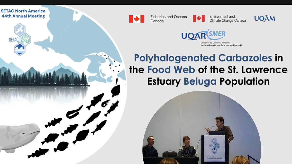 TrqtAlexis's tweet photo. Recently returned from #SETACLouisville where I had the pleasure of meeting dedicated scientists and presenting our latest research findings. It was my first in-person SETAC and the high caliber of speakers was truly enriching. 

Thanks to @UQAR,@ecoto_q,@studentsofSETAC ,#SETAC https://t.co/PewHuMMyHE
