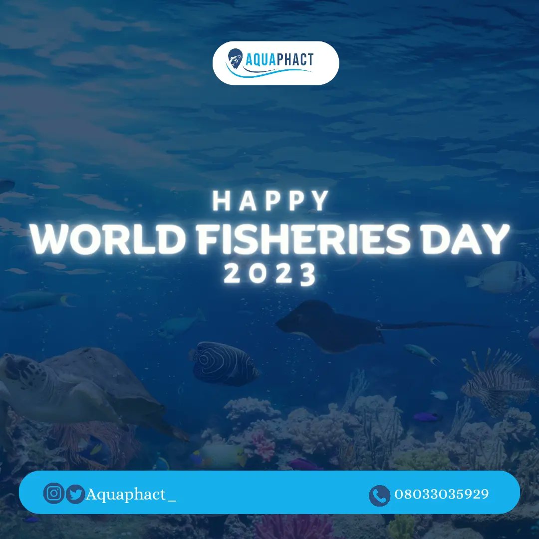Aquaphact_'s tweet photo. In the delicate dance between humanity and the sea, let's reflect on the imperative of responsible fisheries management, ensuring the preservation of marine ecosystems for generations to come.

 HAPPY WORLD FISHERIES DAY 😊😇 https://t.co/hcga9S3WmT