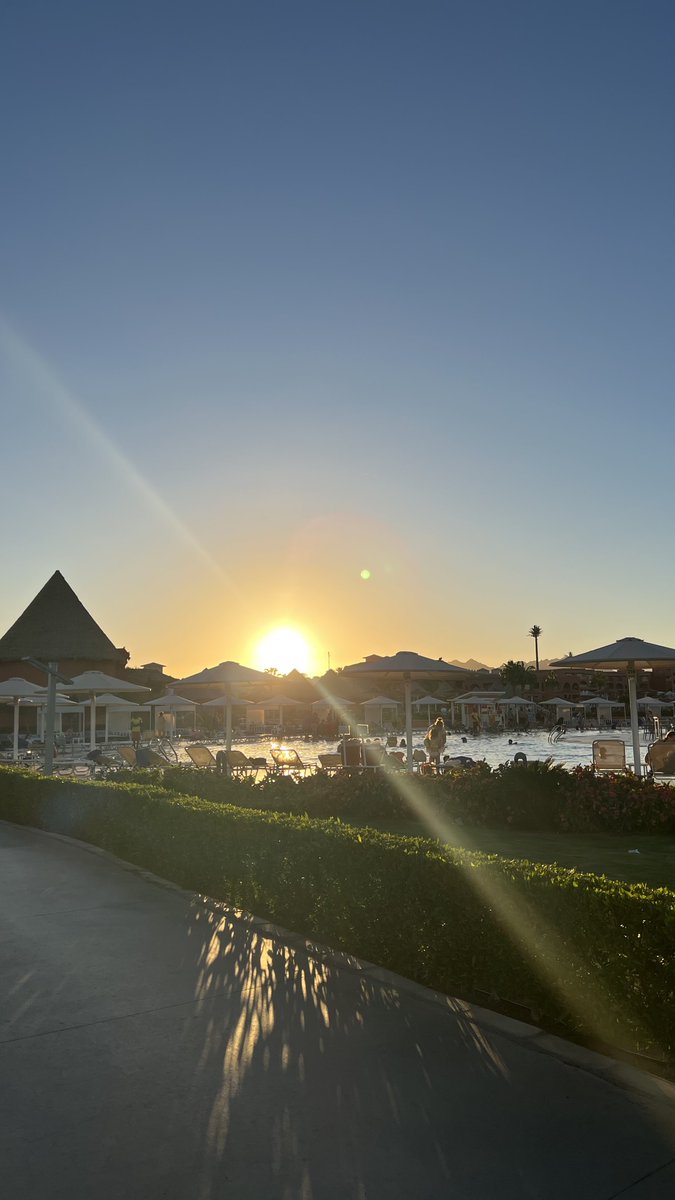 _AMQ6's tweet image. 