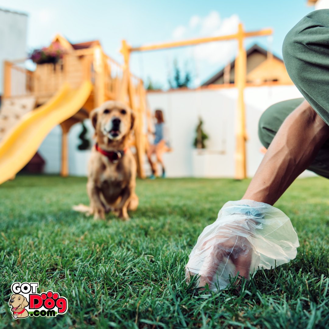 gotdogdotcom's tweet photo. Dog poop happens, but unpleasant pet odors don't have to! 🐶🌼

Discover the ultimate pet deodorizer with #GotDog pet cologne!

https://t.co/OpBdRp7mNy 

#dogoftheday #doglover #ilovemydog #pets #lovedogs #petcologne #petfragrances #fragrances #cologne #perfume #instagramdogs https://t.co/XHl0XAQ2Hp