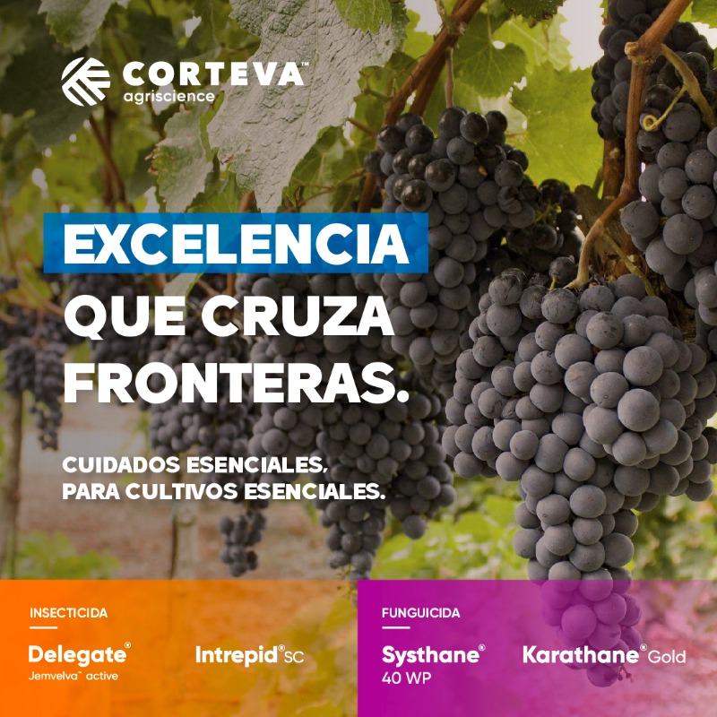 Corteva Argentina tweet media
