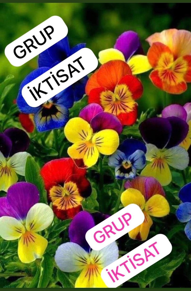 🌿GRUP İKTİSAT🌿 @Poyraaz31 @minecanemine @Hizireli @mkus27 @nlf16 @1enm @1lrm_ @IboG27 @nryd37 @Hnde00 @SiirSL_1 @SiirSL_ @1j_qz @turksoy_ege @wqstlk @fnd_344 @Berguzar0011 @ic_sess06 @lanset6134 @lanset1434 #Takibetakip #follow #gt #iyiakşamlar #salı 🌹🌺🩷🌸