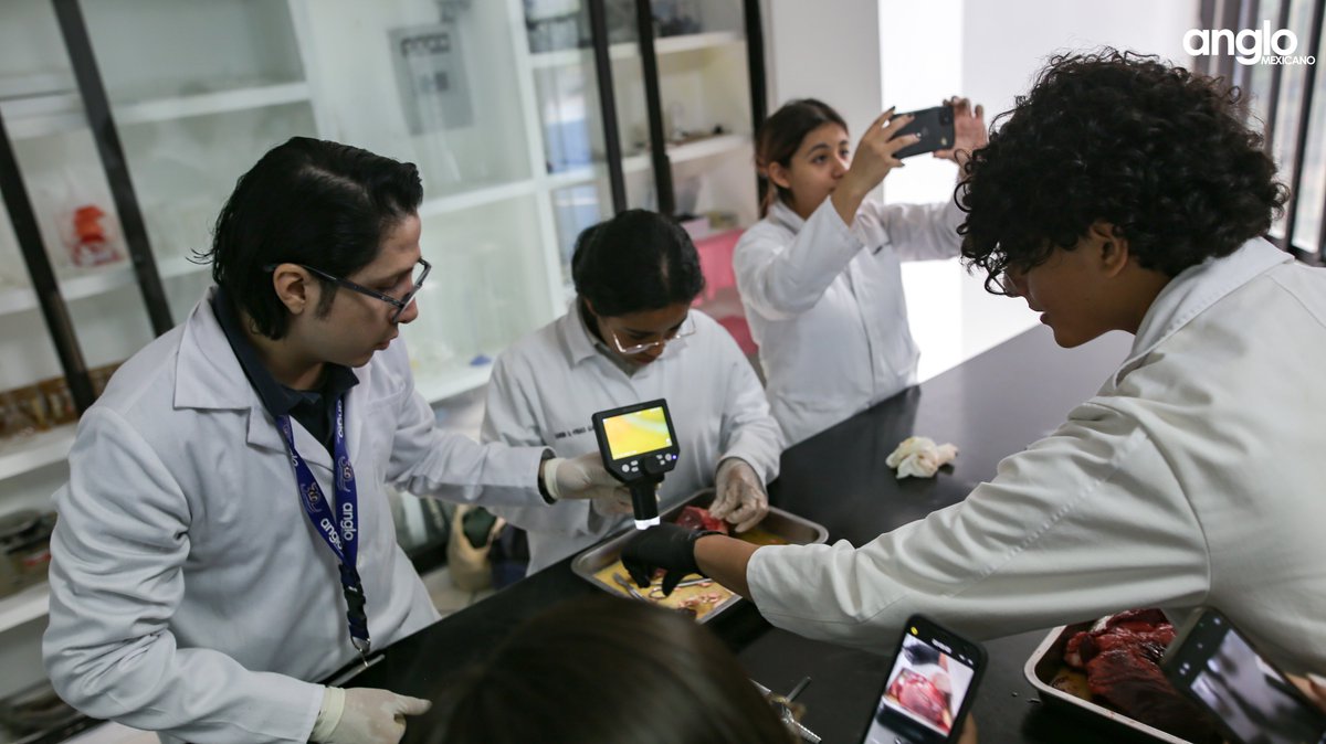 En su práctica de laboratorio nuestros alumnos de 5º #Bachillerato tuvieron el objetivo de reconocer y describir las diferentes estructuras que contiene el corazón de un mamífero en su anatomía interna y externa, así como identificar y  aprender a manejar el material de disección