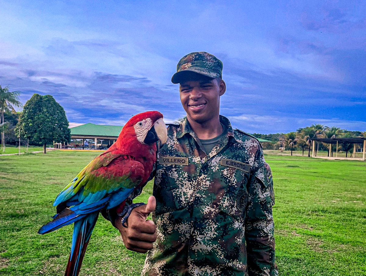COL_EJERCITO's tweet photo. #AportamosALaPaz | Desde el Suroriente de Colombia, los Soldados de la @Ejercito_Div8 trabajan sin descanso para contribuir con el progreso y desarrollo de la región. https://t.co/c45Oqpw1ik