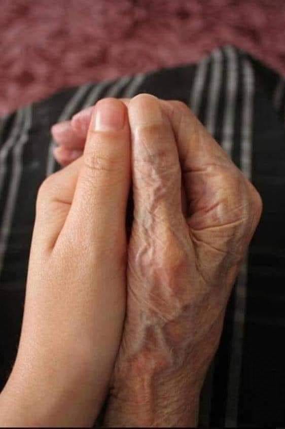 epmanolo's tweet photo. No te olvides de las manos que te criaron, las que te curaron, las que te acariciaron... https://t.co/MEE8AXR6m4