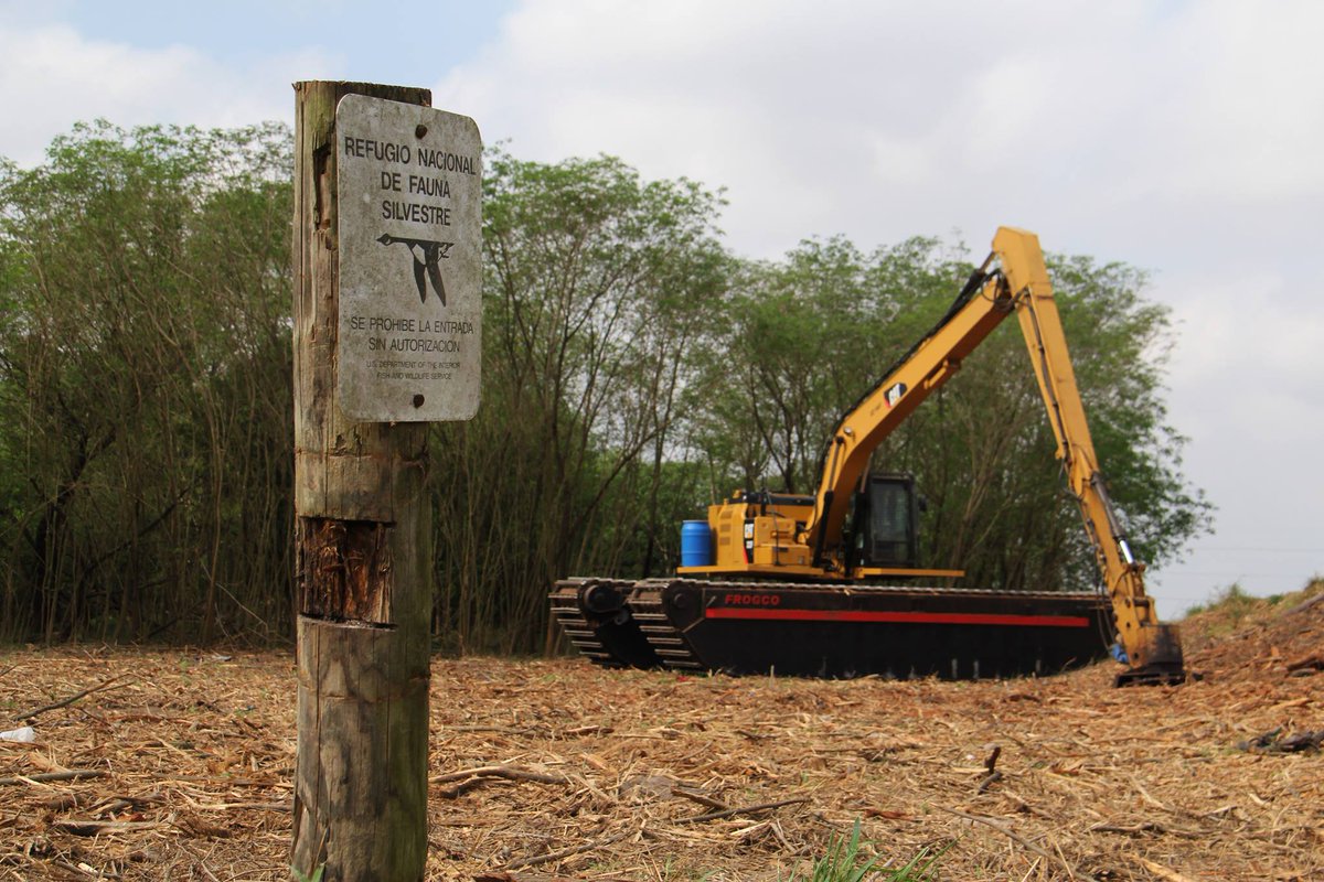 Bulldozers may soon destroy a tiny wildlife refuge that holds 89% of the world's population of endangered Zapata bladderpod wildflowers.

DHS waived the Endangered Species Act in 2020 to build border wall roads, stripping all protections for the species.

<a href="/POTUS/">President Donald J. Trump</a> must stop this.