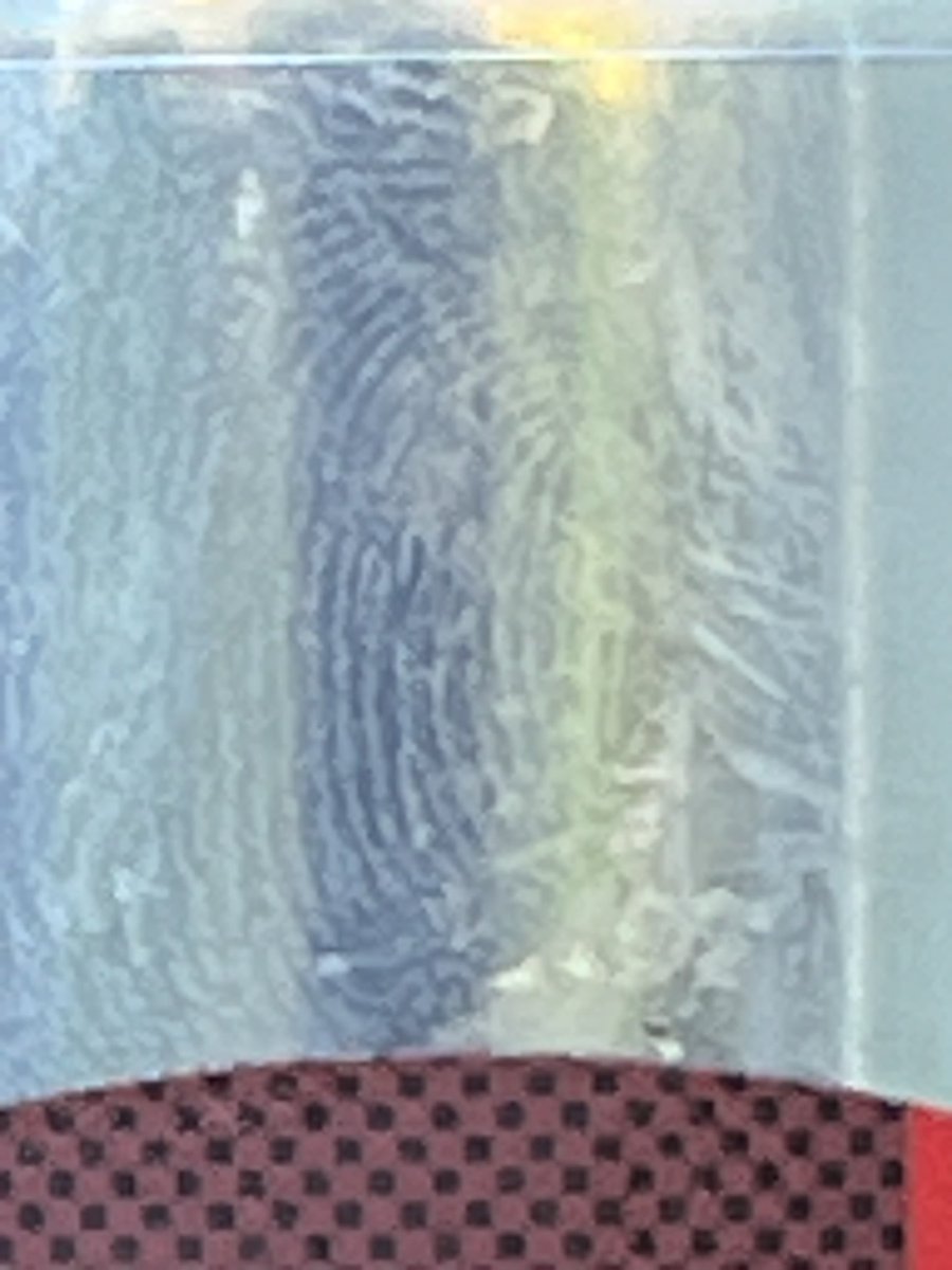 BelperBeerClub tweet media