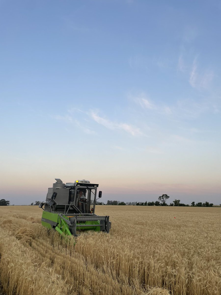 JoacoZabalegui's tweet photo. Se largó con el 🌾 @Syngenta_ar @SyngentaBiolog https://t.co/p16YDirSK3