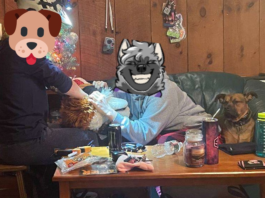 Axelthebigdog's tweet image. Had a fun time with my fursuit maker friend doing some repair work. Turns out Im an alright doggy assistant 🐶