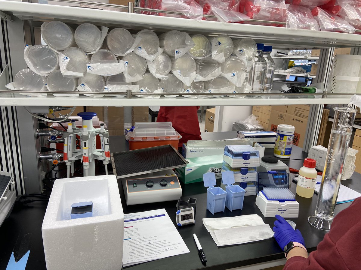 FarnersRiera's tweet image. After 1.5 months, the Amargant i Riera lab is officially up and running! Wish us luck in our first experiment! 👩🏻‍🔬🔬🤞🏼@sarapietroforte #CRepHS @WashU_OBGYN