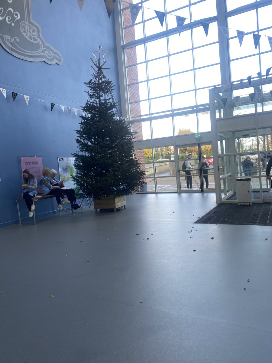 Katie foley tweet media