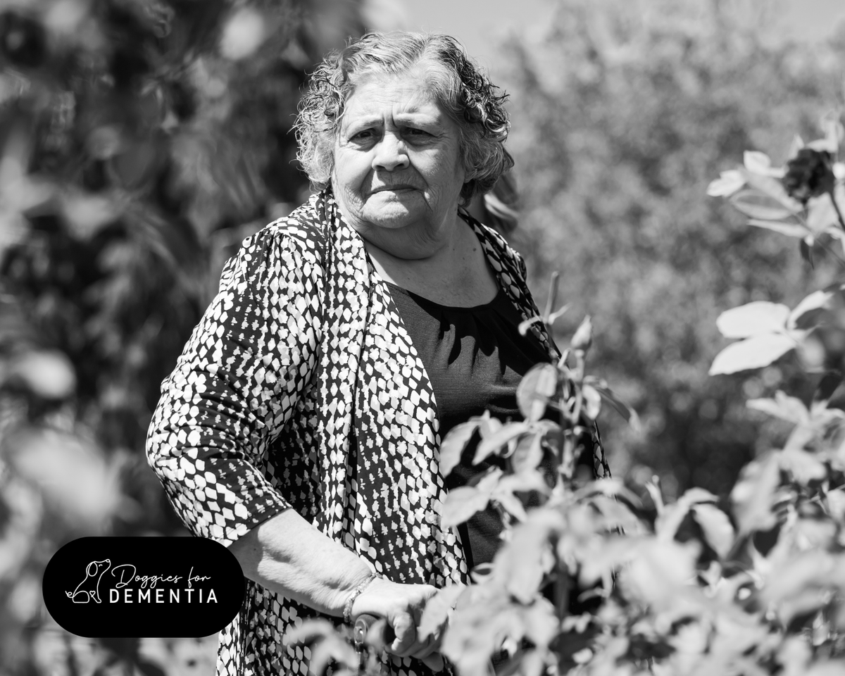 Through fading skies, we capture light,
   Moments cherished, sparkling bright.
   In photos' embrace, memories stay,
   Guiding hearts on life's intricate way.

Huge THANKS to @Kealinbransonphotography! ❤️ doggiesfordementia.org