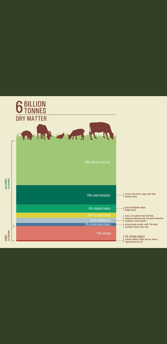 gpse7en's tweet photo. Funny that millionaire investors don't invest in real food, margins are so low? #NeatMeat #UltraProcessedJunk #plantbasedcon
Save your money 🏆@LewisHamilton
https://t.co/NL5UFQDScr https://t.co/V0OBeampzT
