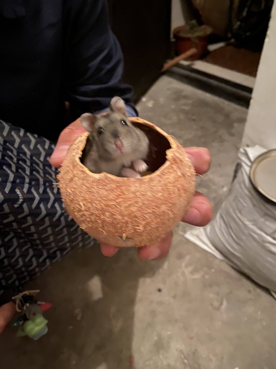 媒体预览