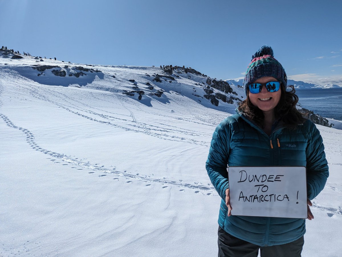 RebeccaCarrotte's tweet photo. @DundeeCulture Hello Dundee penguins! .. the penguins in Antarctica send their good wishes! Emma penguin says hi too... She has really enjoyed seeing her southern cousins. @AbertayUni @DundeeSciCentre @DiscoveryDundee
@HomewardBound16 #emmapenguin #HBantarctica2023 #WomenInSTEM https://t.co/6wrAnLCD0l