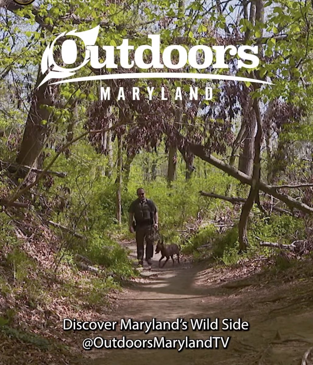 MDNRPolice's tweet photo. Watch Outdoors Maryland tonight and learn more about what our officers and K-9’s do to help protect Maryland's precious natural resources! Episode airs at 7:30 on Maryland Public Television. https://t.co/XskkwzGdrI