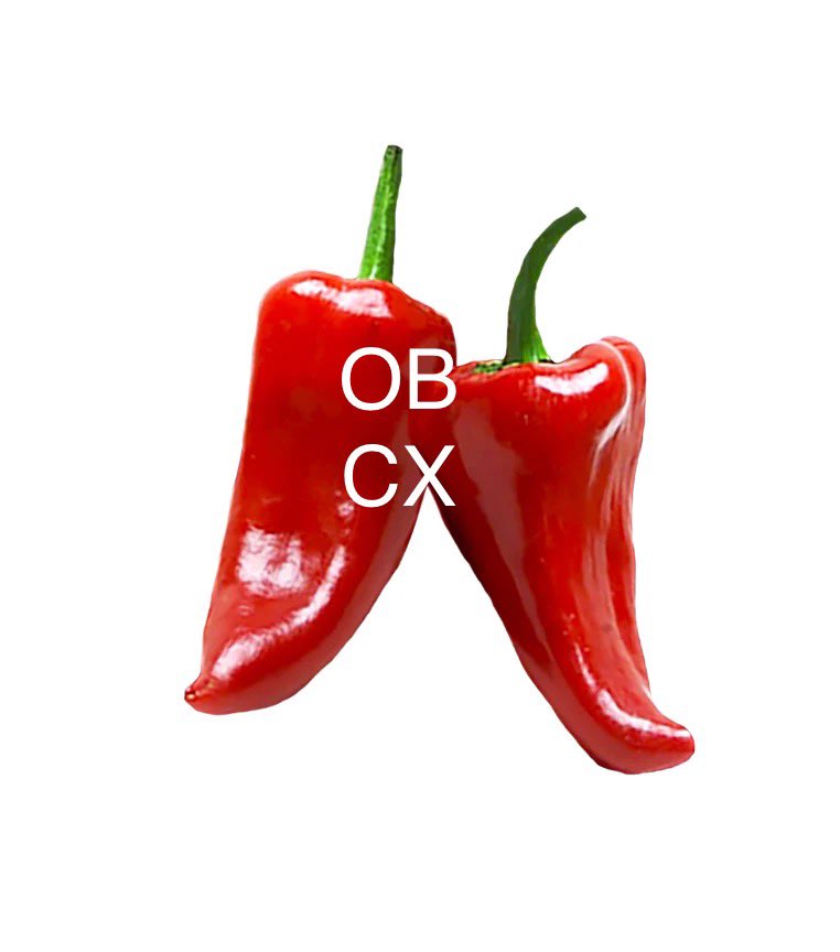 OBCX tweet media