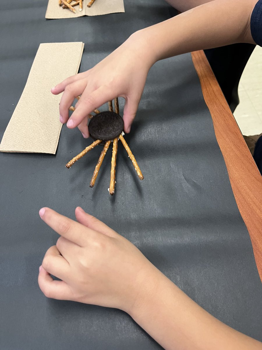 Victoria Stuewe M.Ed tweet media