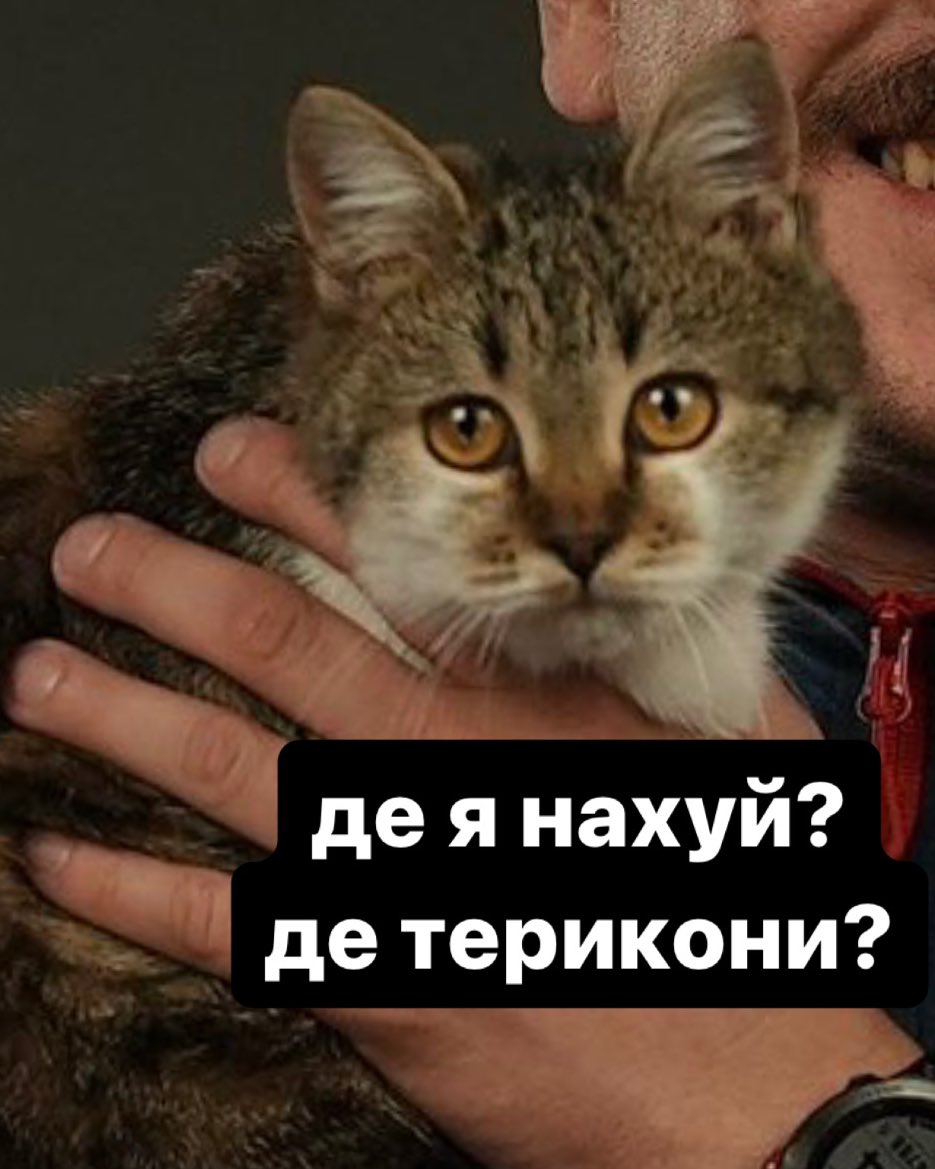 кіт з Донбасу зміг вибитися у люді, а ти ні