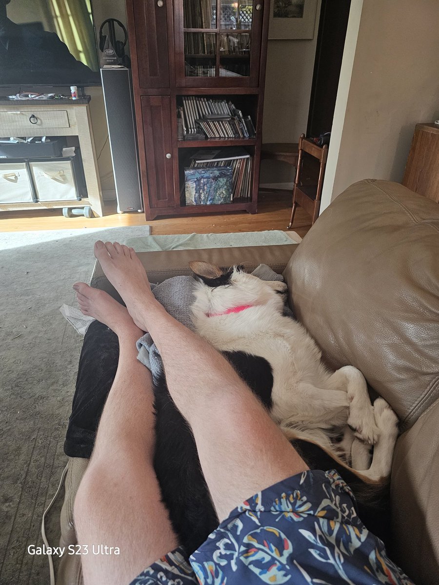 SeanKsays's tweet photo. I did my good deed for the day-I ran this dog very hard. Puppy is wiped out and snoring hard #puppylife #puppy #AustralianShepherd #iKEY https://t.co/dPN3CahHJG
