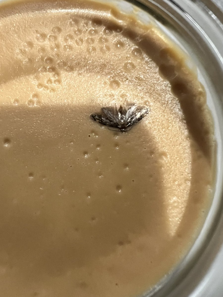 Ollie Garner tweet media