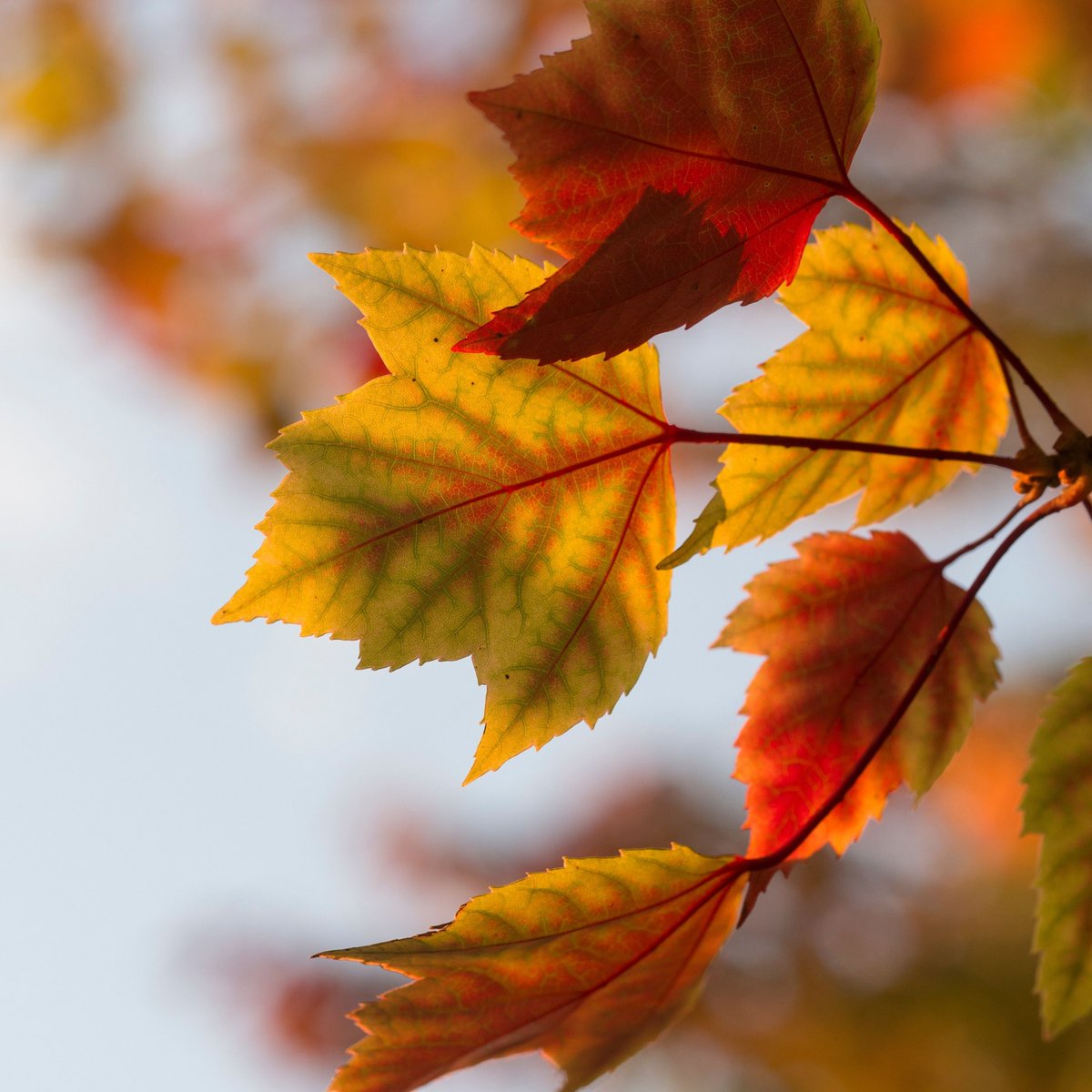 Want #ArchivalWorkersCollective news delivered to your email? Sign up for our Google Group here to hear the latest on our activities: buff.ly/43dbTHF #awefund2020 #solidarity #awc #awefund Image Credit:  Aaron Burden via Unsplash
