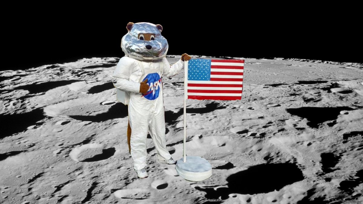 Bucky has never been to the moon🌜🚀🐿️ #axeweek