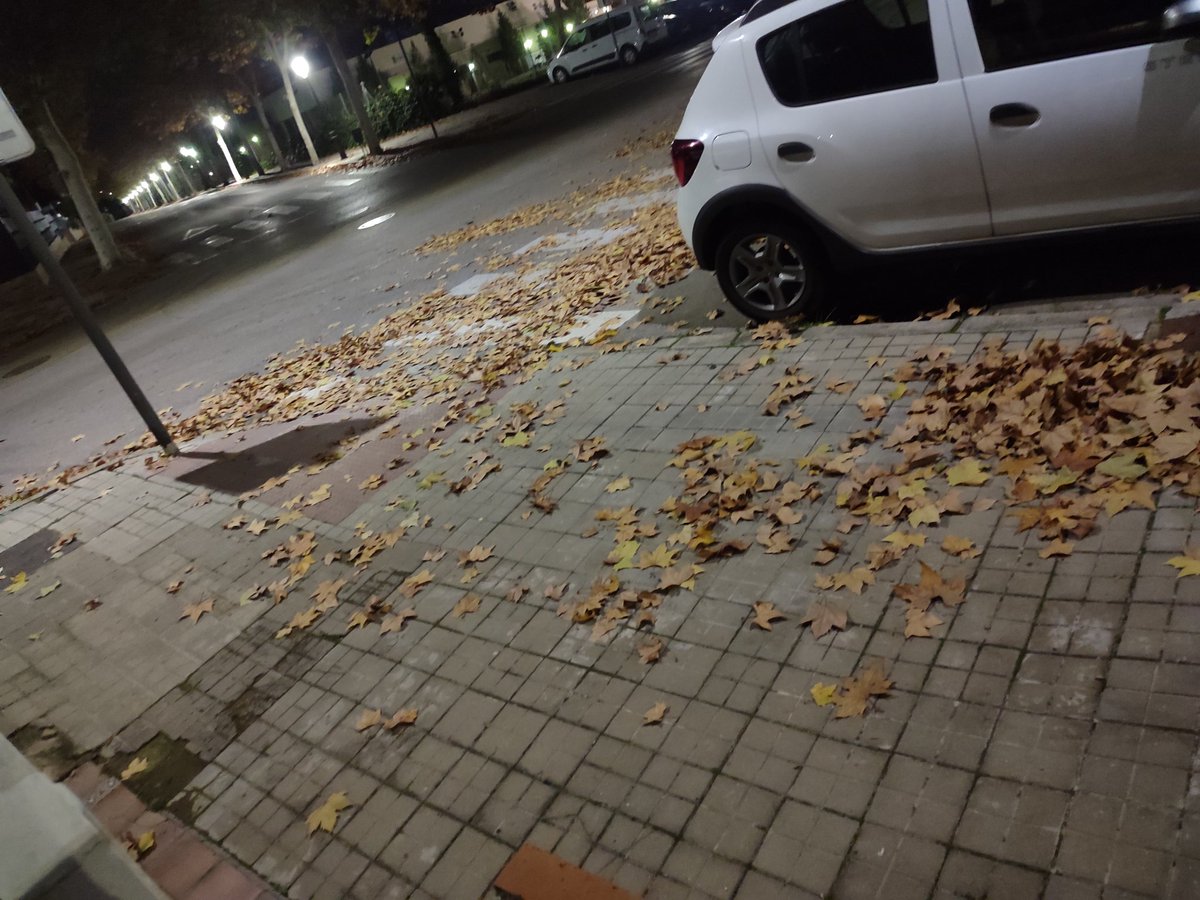 ainhoa5495's tweet photo. @Aytovilladeodon  Así lucen las calles de Villaviciosa de Odón .. Llenas de hojas, lo que conlleva a que si llueve, se atasque las alcantarillas y eso conlleva a inundaciones.Por favor que el servicio de limpieza se de una vuelta y haga su trabajo. Yo no voy a hacer el de ellos. https://t.co/3pCmdygBXQ
