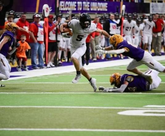 Dylan Stecker tweet media
