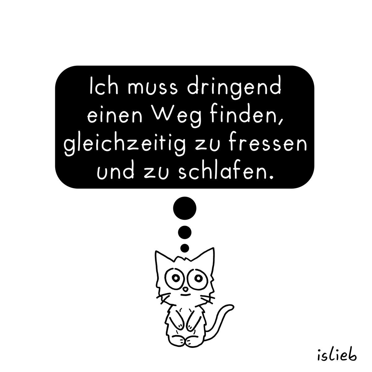 islieb? (@islieb) on Twitter photo 
