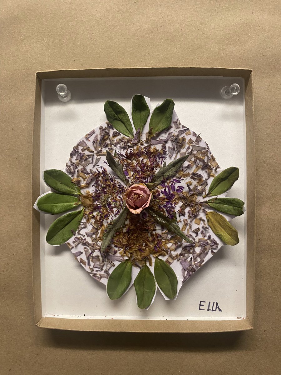 Hollyburn Elementary School tweet media