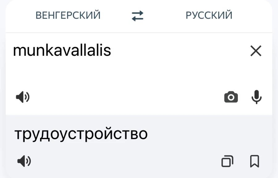 vedrosyan's tweet photo. - Как дела?
- Трудоустроился.
- Прости, я не расслышал, ты сказал «трудоустроился» или «дрочил с кляпом в рту»? https://t.co/JD30gzuNZ5