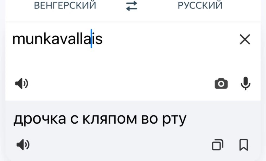 vedrosyan's tweet photo. - Как дела?
- Трудоустроился.
- Прости, я не расслышал, ты сказал «трудоустроился» или «дрочил с кляпом в рту»? https://t.co/JD30gzuNZ5