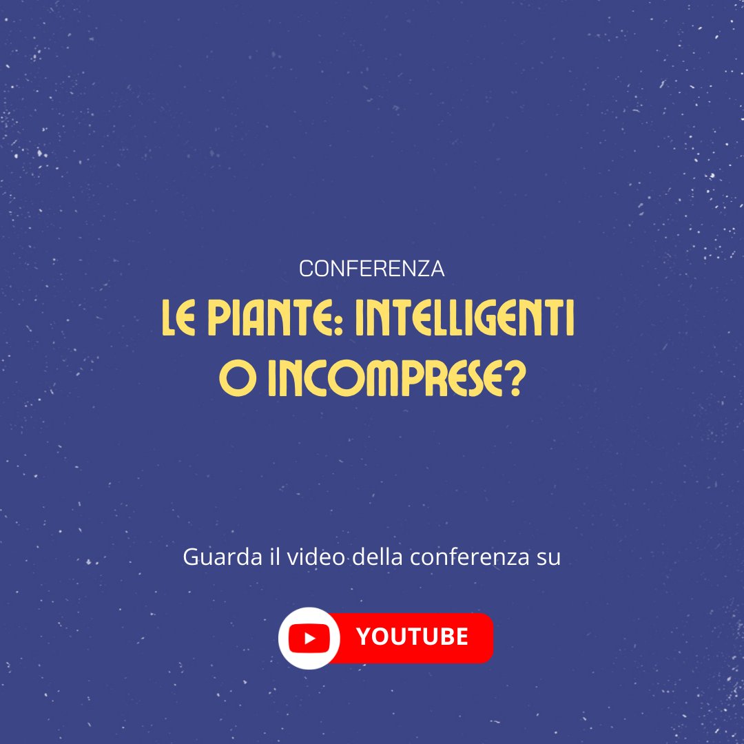 Hai mai parlato con una pianta? 🪴
Paola Bonfante e Paco Calvo, durante #BergamoScienza si sono confrontati su quanto le piante abbiano la capacità di comunicare con gli esseri viventi. Grazie anche a Danilo Zagaria per aver moderato.
Trovi il video qui: bitly.ws/32VKj