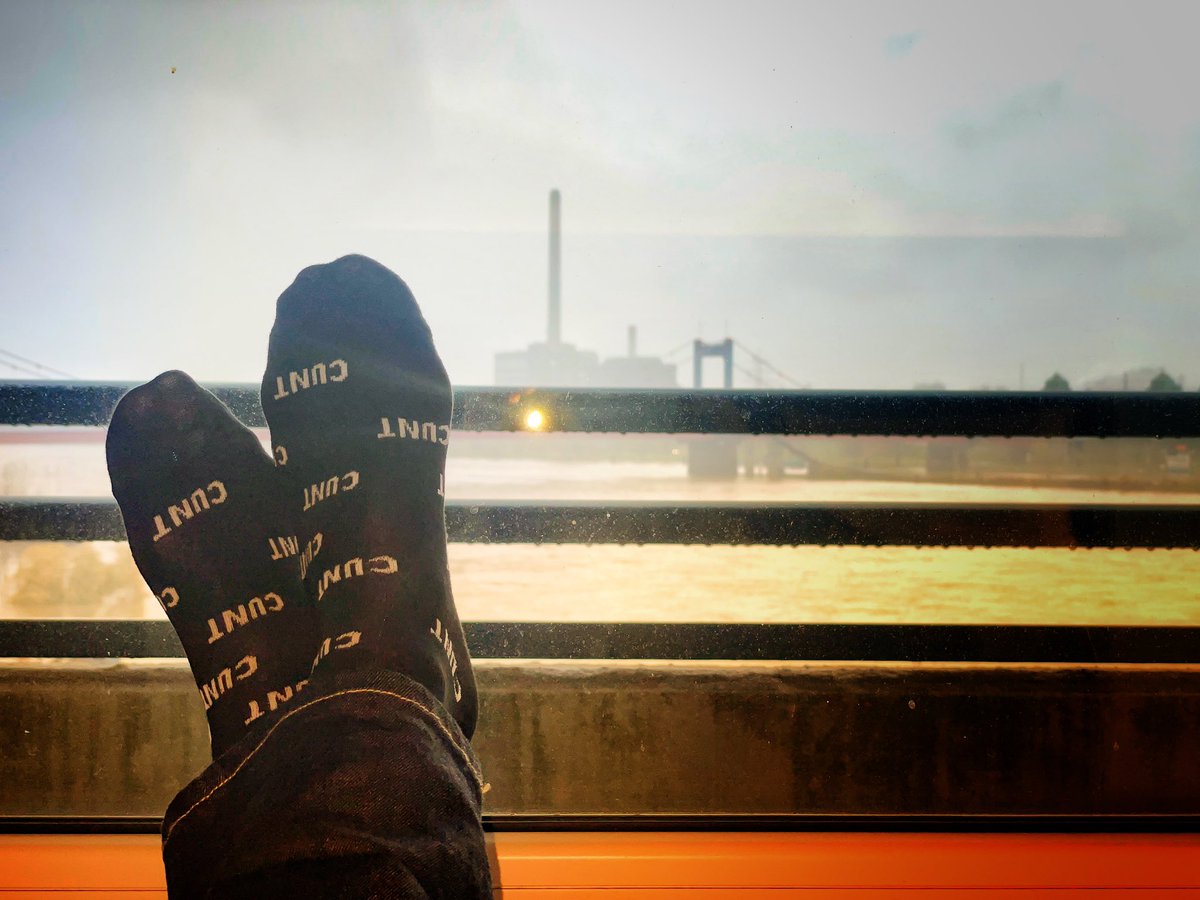 BongoLily's tweet photo. Room with a view  👀 https://t.co/2Muk3JDReC