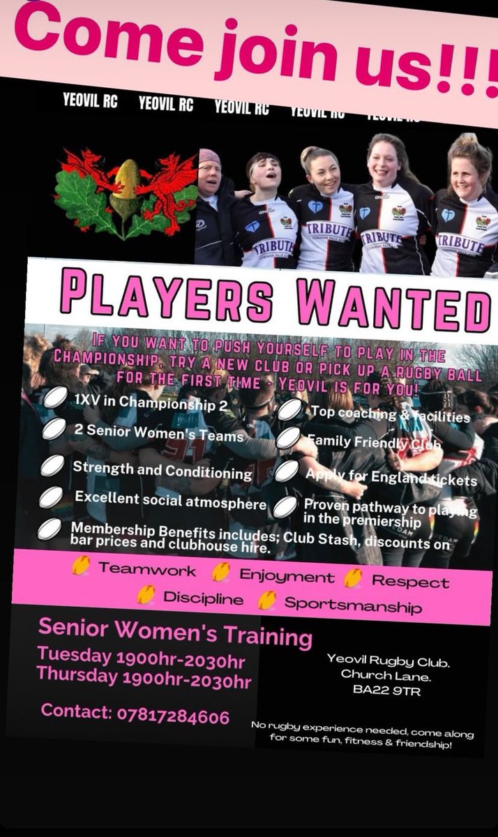Yeovil Rugby Women & Girls tweet media