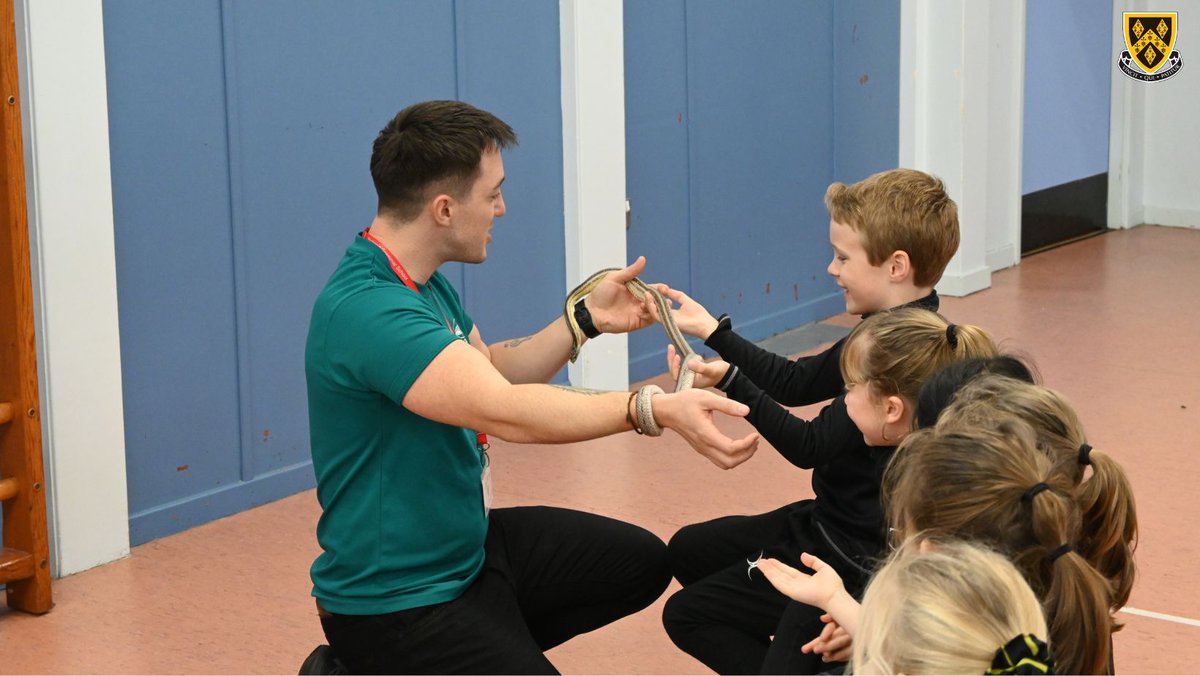 stockportgs's tweet photo. The children ended their sessions by spending some time with Ghost, Spirit and Shadow - Chris's very own pet rats! Well done to all of the girls and boys who were very brave and some even overcame their fears and held all the insects!
#SGSInspires #SGSJuniorSchool #SGSConfidence https://t.co/DM86HJ8RWg