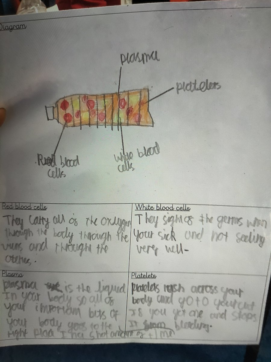 The Oaks Primary tweet media