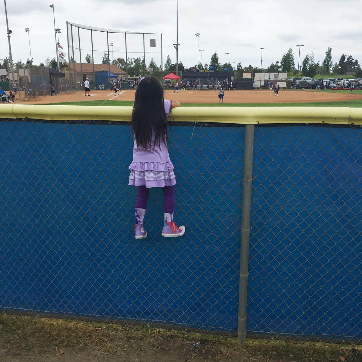 torii_ramirez25's tweet photo. I’m beyond excited to announce my commitment to the admissions process at Brown University to play D1 softball! Little me, we did it! Go Bears!  🐻 ❤️ https://t.co/lqZ8EdqhVw