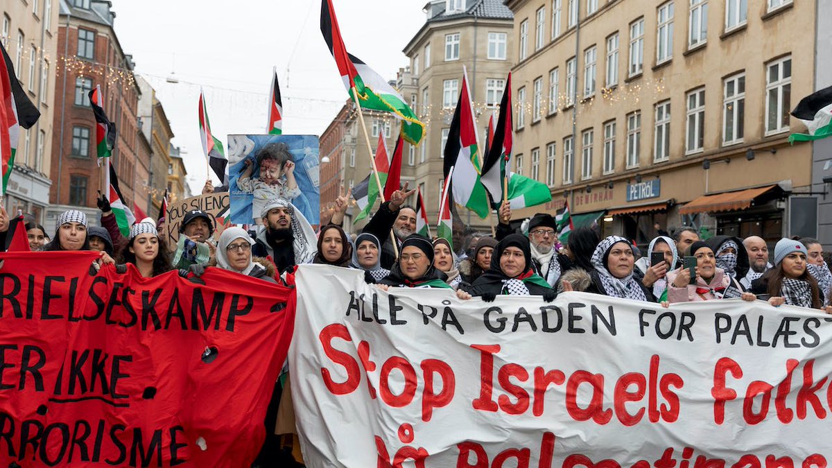 tv2newsdk's tweet photo. "65.000" gik på gaden for Gaza, lyder det på sociale medier – men virkeligheden er en anden, vurderer eksperter https://t.co/bryh5d6rpt https://t.co/ESftKGrGYz