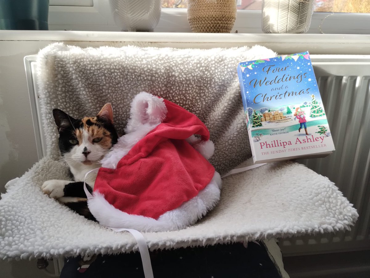 I’ve just had a call from my editor <a href="/rrraacchh1/">Rach Hart</a> with the amazing news that Four Weddings and a Christmas is my third Sunday Times bestseller!!! Im ecstatic and so is Tilly the cat!