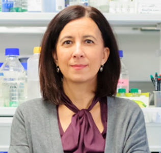 carlosfsanchezf's tweet photo. María Calzada es Prof. Titular del Dpto. de Medicina (Inmunología, IIS-LaPrincesa) y Vicedecana de Investigación. Investigadora nata y trabajadora metódica lleva adelante asuntos de @Biblioteca e #investigación, cruciales en una facultad como @UAM_Medicina 
#SanchezFerrerDecano https://t.co/m2ADywmCeW