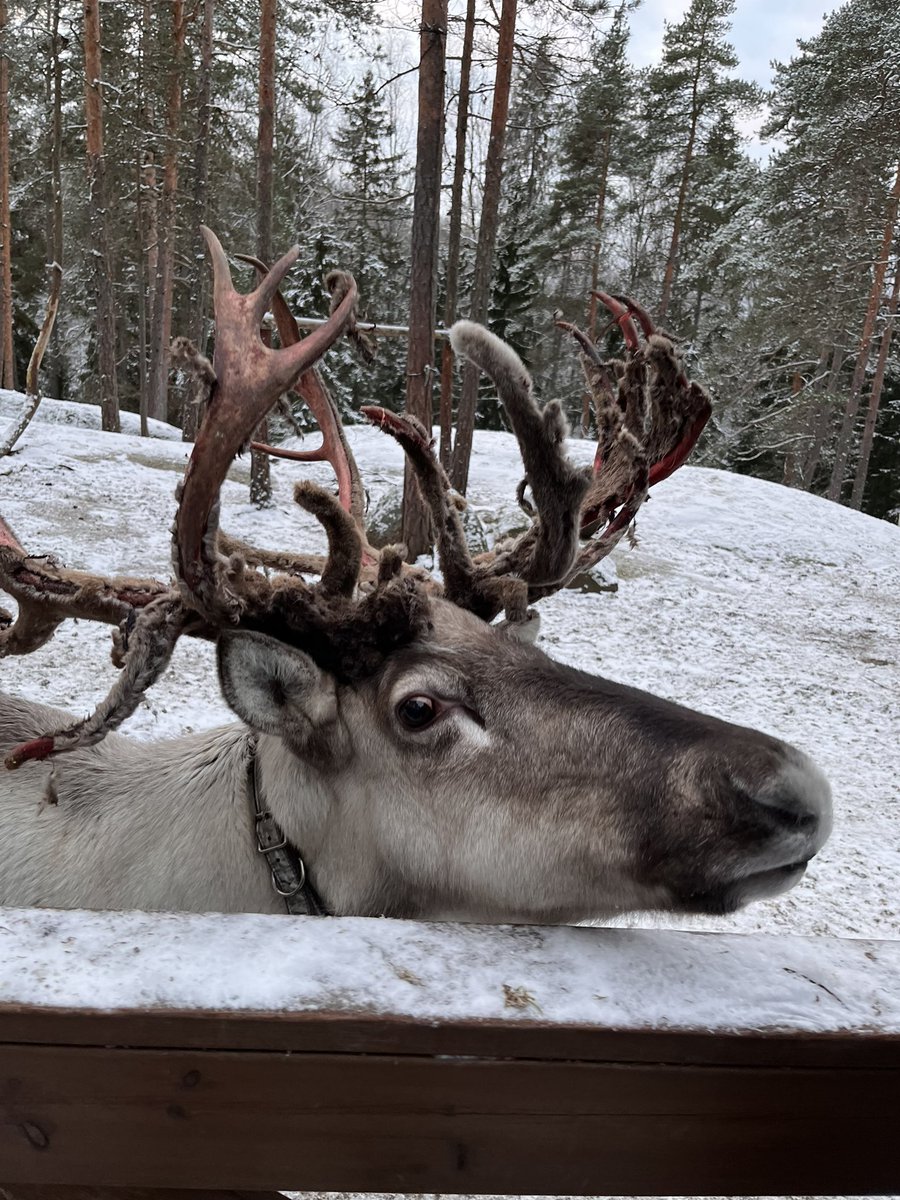 Gloria Murari tweet media