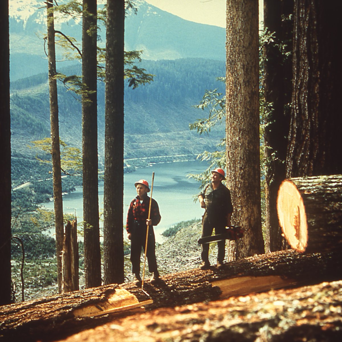 TheCHPF's tweet photo. Did you know that #GivingTuesday is just one week away? This year, the CHPF is asking for donations from our supporters to help us continue the important work of digitizing and preserving our collection of heritage photographs for future generations.⁠

Image by George Hunter
⁠ https://t.co/ILL63q4NR9
