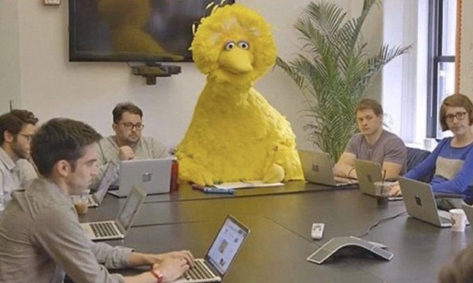 Me being conspicuously Yellow in 90% of my job situations. #AARSBL23  #biblicalstudies Big Bird’s expression is 👌
