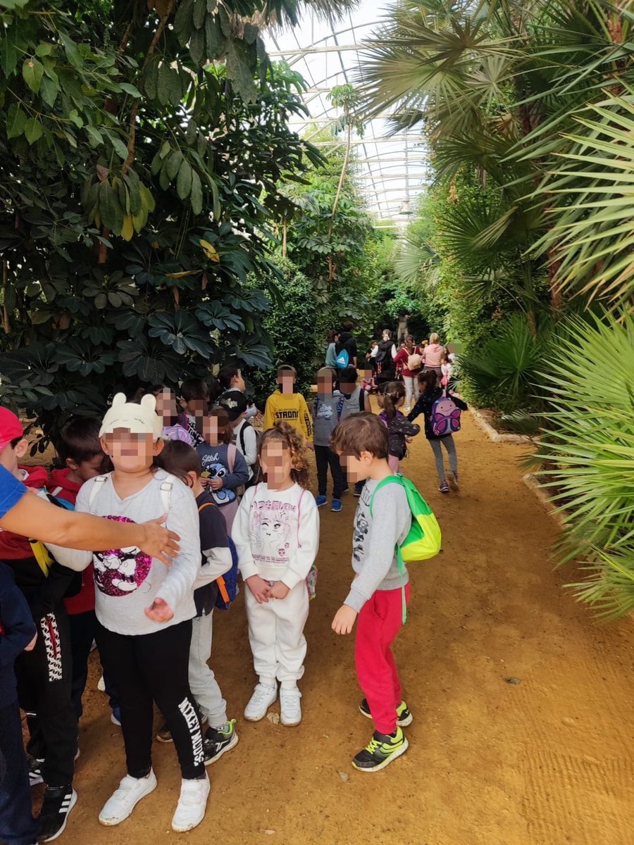 CEIP_TEODOSIO's tweet photo. ¡Nos encanta aprender y disfrutar a la vez! Nuestro alumnado de primer ciclo en una completísima jornada en el Alamillo: viveros, tren neumático, ruedas del agua, juegos... #ceipteodosio #pinomontano https://t.co/LPpRDwksd2