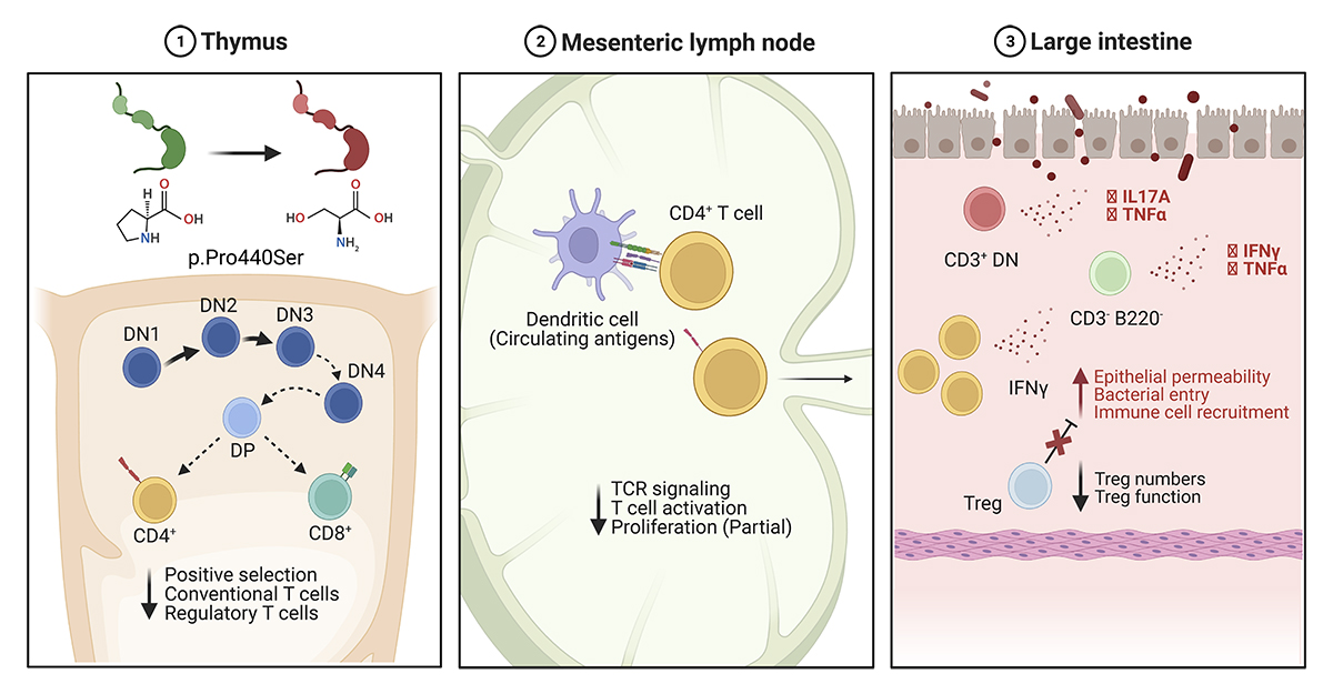 Journal of Experimental Medicine tweet media