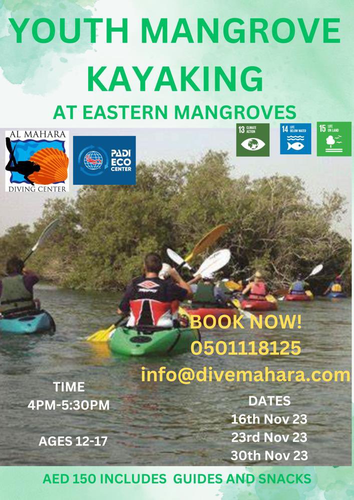 DiveMahara's tweet photo. Connect with nature with Al Mahara eco community! Let us take you through the mangrove forest with our amazing mangrove guides. https://t.co/LEhACwkyZp