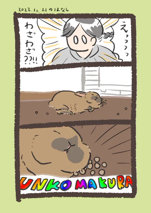そばがらのような寝心地…?

#うさぎのいる生活 