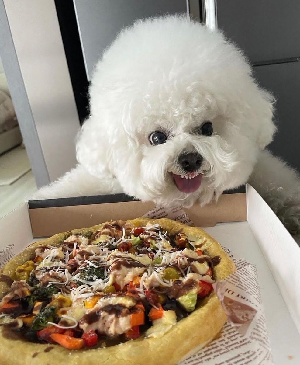 That's her pizza.Nobody touch it 😝